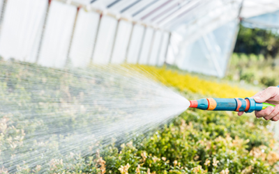 Water rights can now be transferred