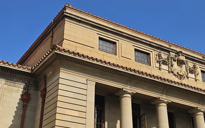 Leave to Appeal vs Special Leave to Appeal