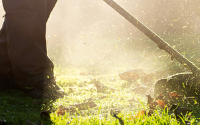 Can Landlords unilaterally charge for additional services?